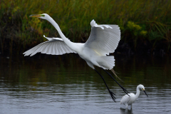 DSC_7657_15